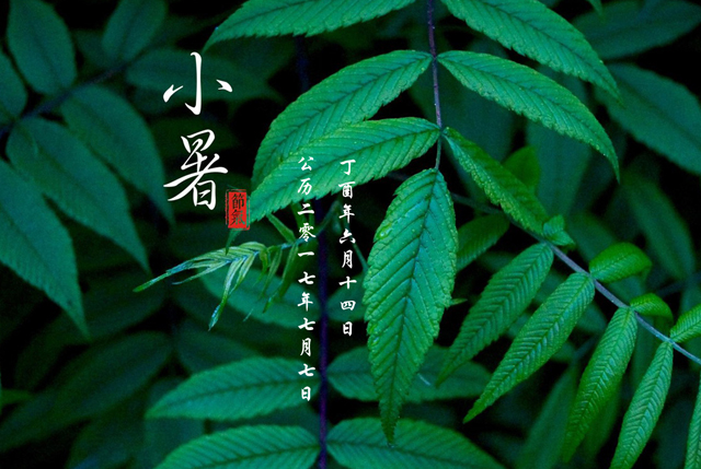 二十四节气|小暑