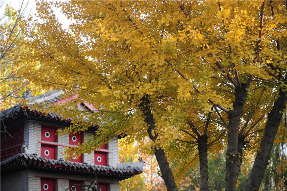 微信图片_20210101103533.jpg