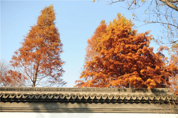 微信图片_20210102091954.jpg