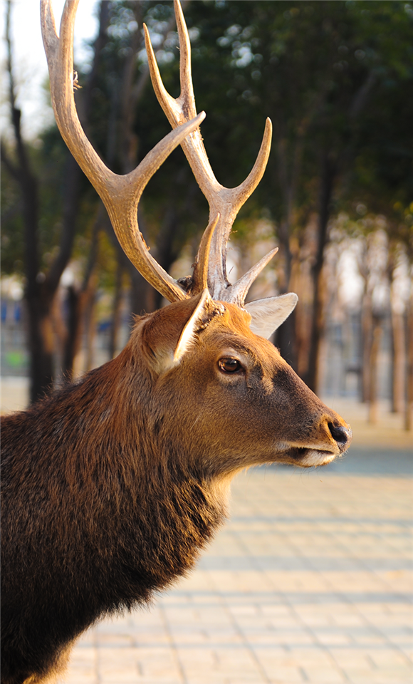 微信图片_20210102092009.png