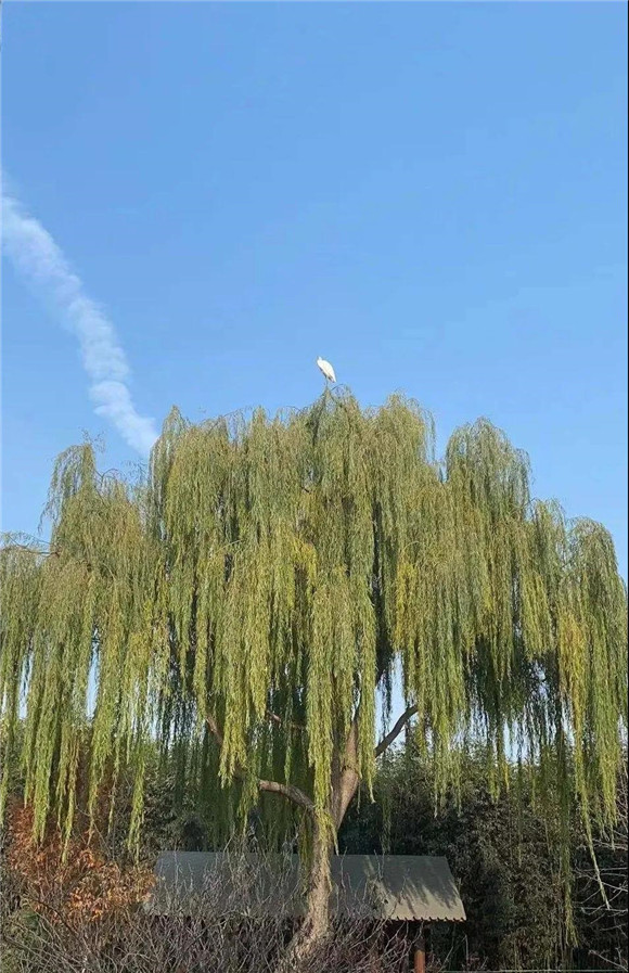 微信图片_20210102092019.jpg