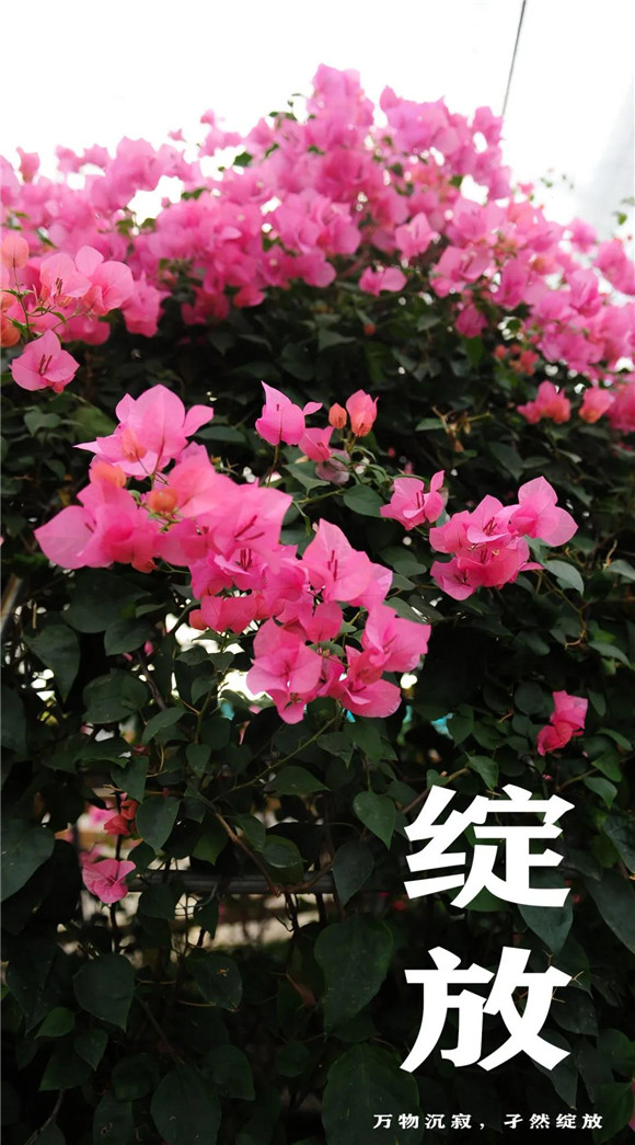 微信图片_20210102092024.jpg