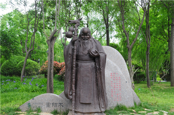 重阳木.JPG