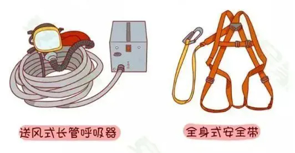 6.webp (1).jpg