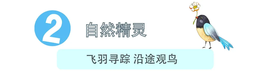 21.webp.png