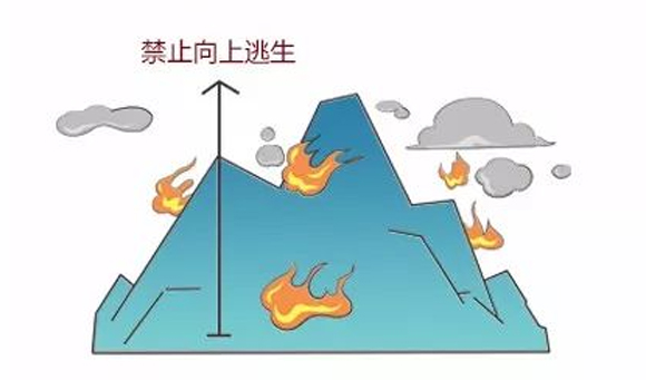 15 副本.jpg